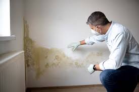 Best Air Quality Testing for Mold Spores  in St Hedwig, TX